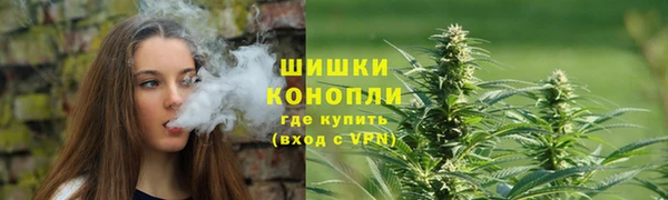 PSILOCYBIN Аркадак