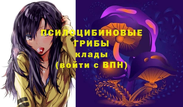 мяу мяу мука Алзамай